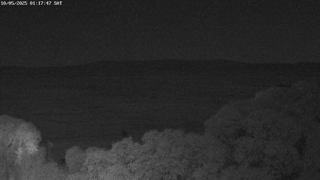 time-lapse frame, East webcam
