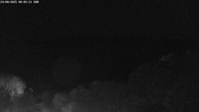 time-lapse frame, East webcam