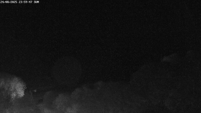 time-lapse frame, East webcam