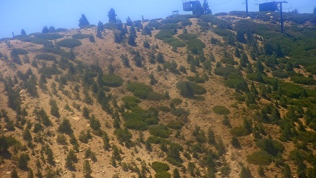 view from Snow Valley Peak Cam on 2026-09-01