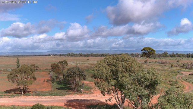 time-lapse frame, West webcam