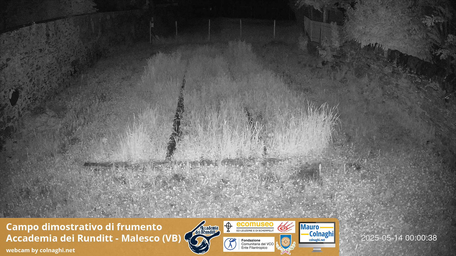 time-lapse frame, Grano webcam