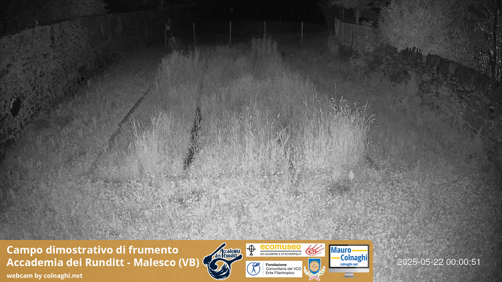 time-lapse frame, Grano webcam