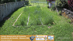 view from Grano on 2025-05-23