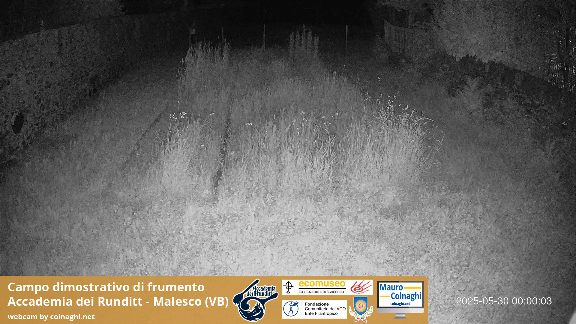 time-lapse frame, Grano webcam