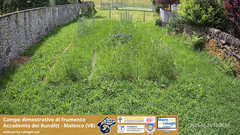 view from Grano on 2025-05-31