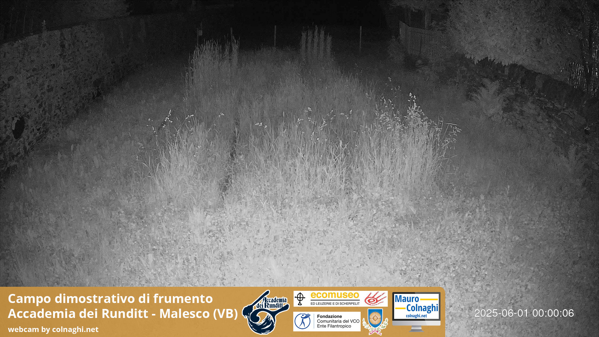 time-lapse frame, Grano webcam