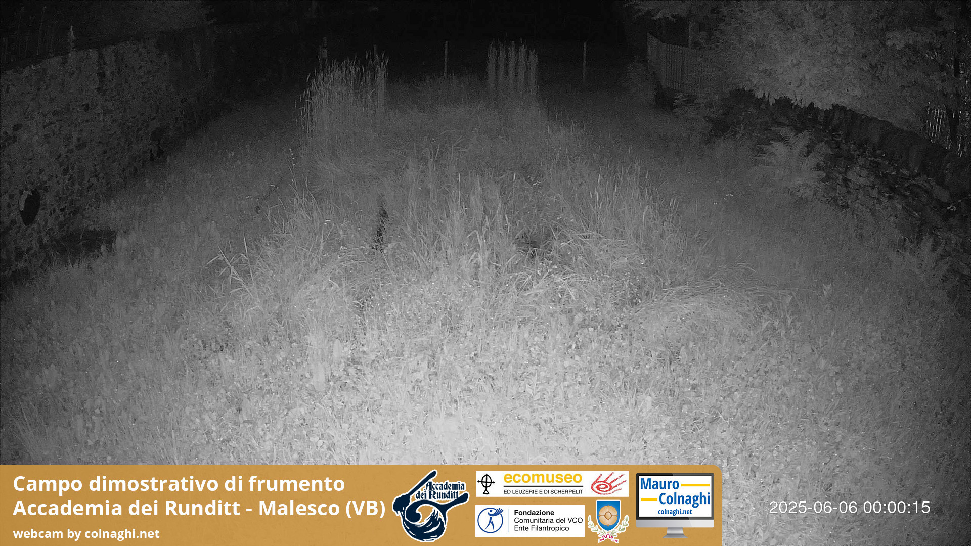 time-lapse frame, Grano webcam