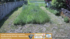 view from Grano on 2025-06-11