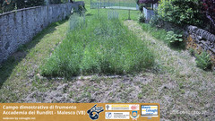view from Grano on 2025-06-12