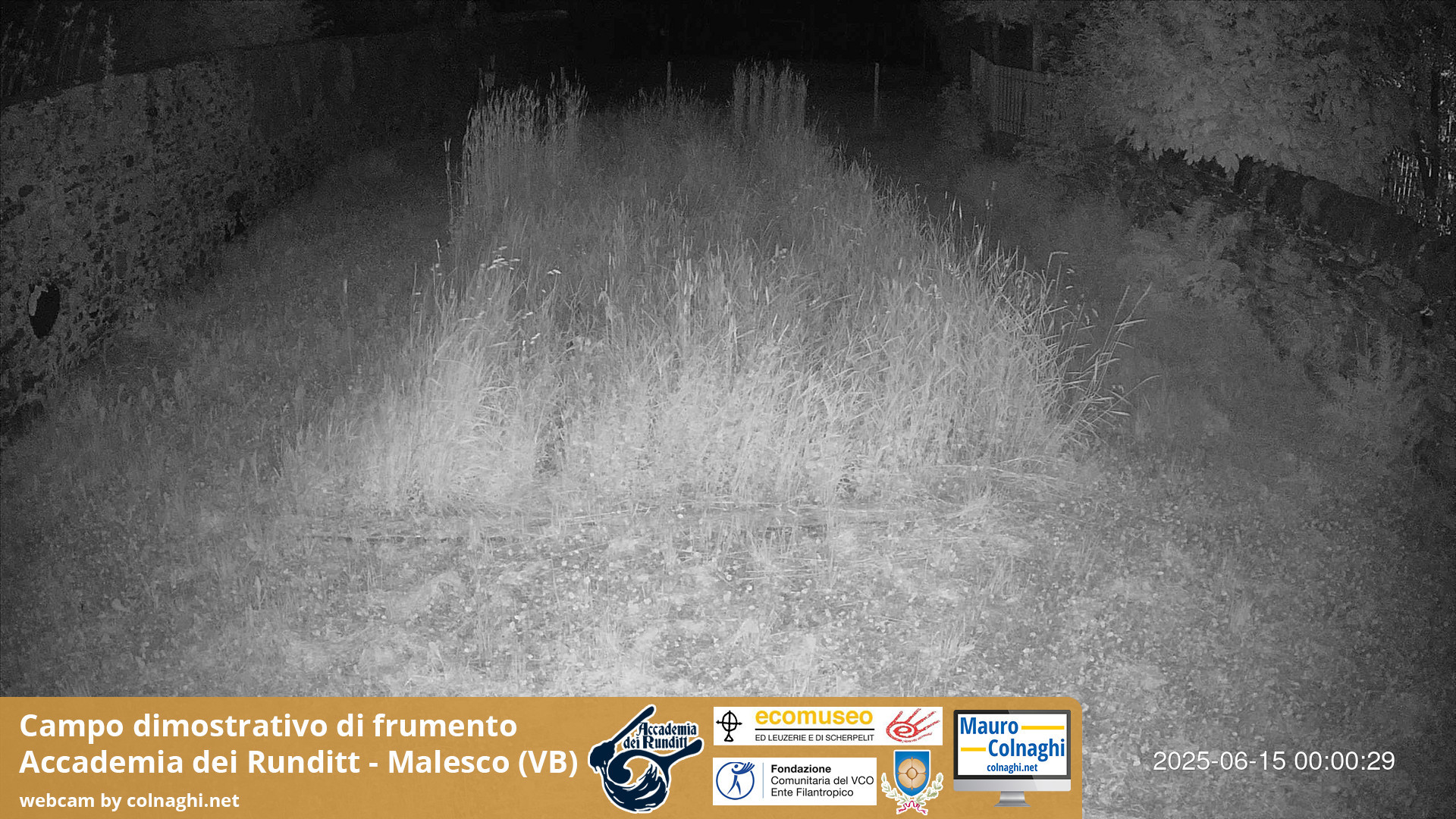 time-lapse frame, Grano webcam