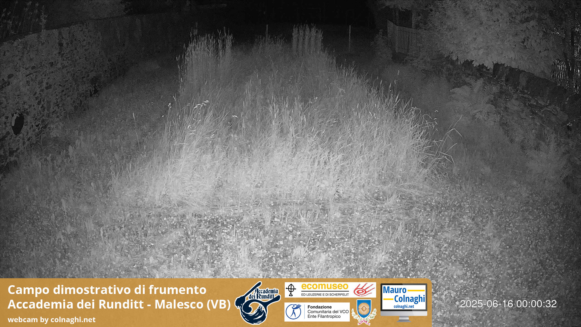 time-lapse frame, Grano webcam