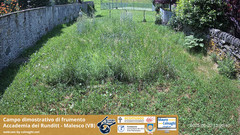 view from Grano on 2025-06-20