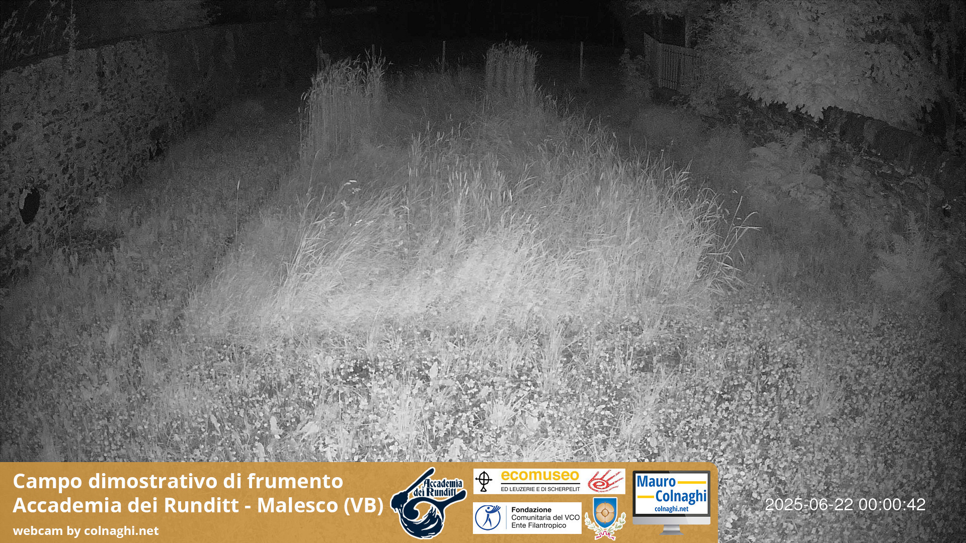 time-lapse frame, Grano webcam