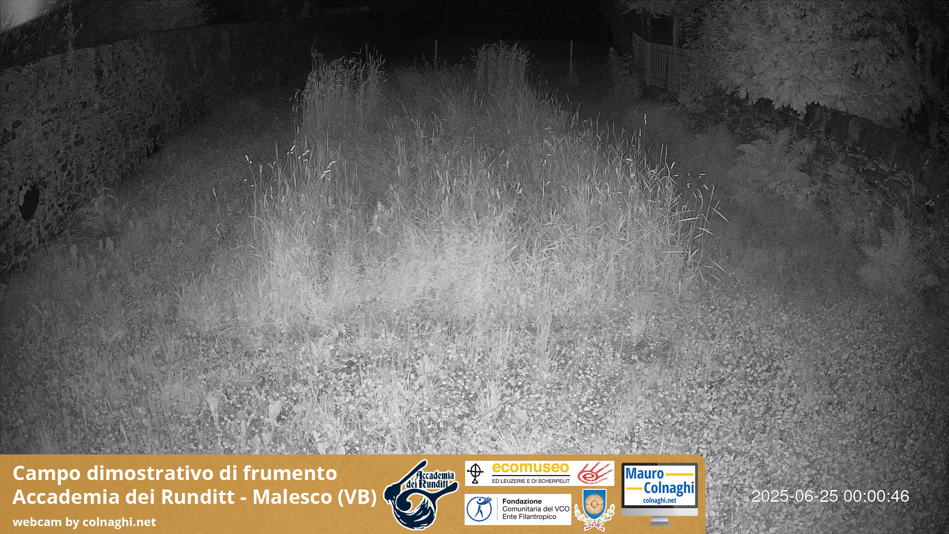 time-lapse frame, Grano webcam
