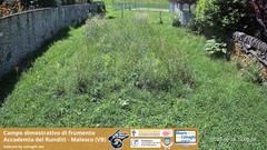 view from Grano on 2025-06-28