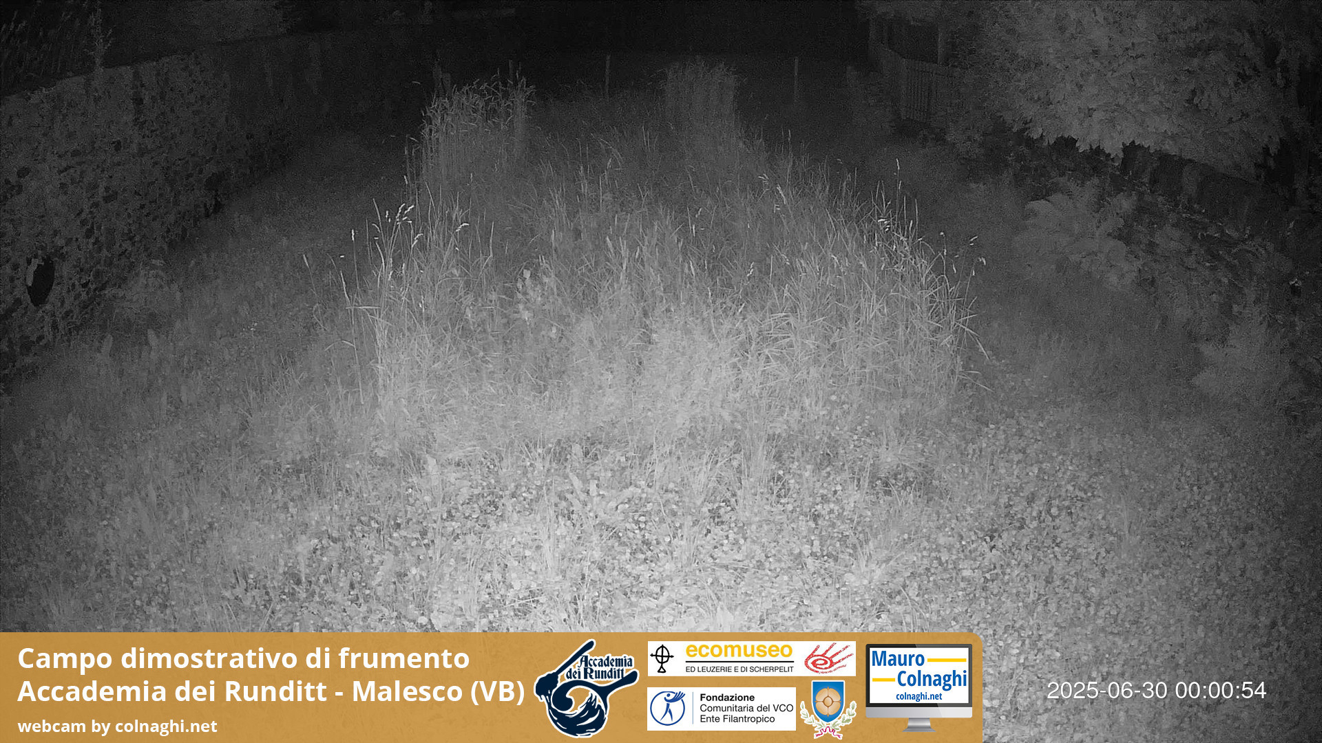 time-lapse frame, Grano webcam