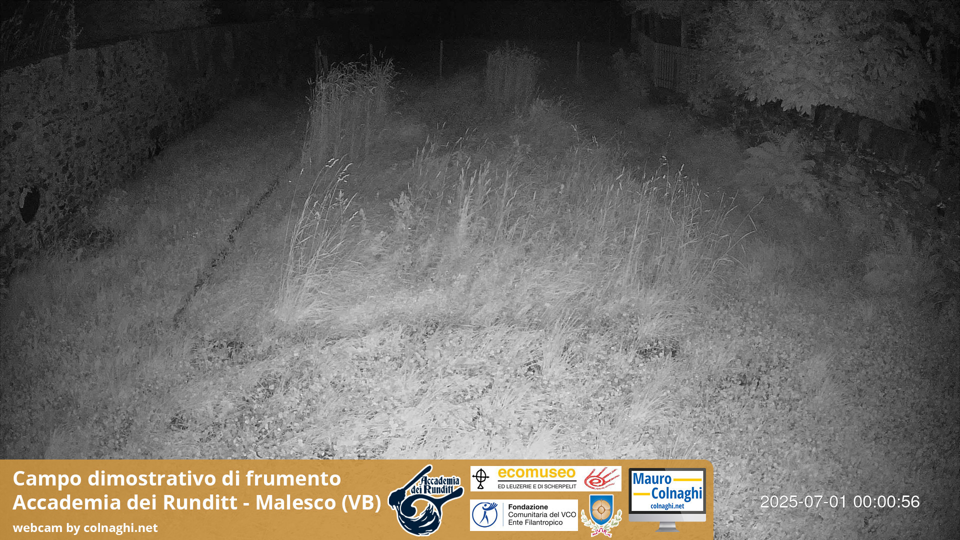 time-lapse frame, Grano webcam