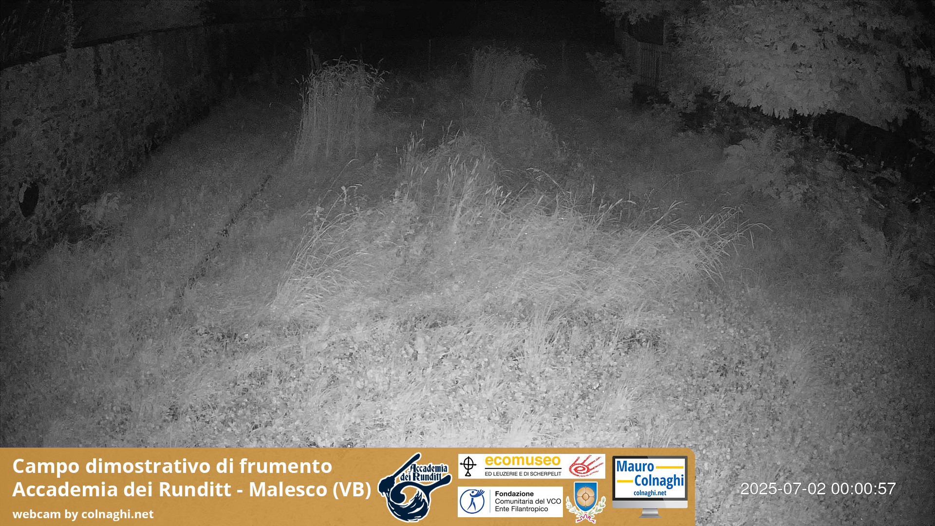 time-lapse frame, Grano webcam