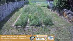 view from Grano on 2025-07-06