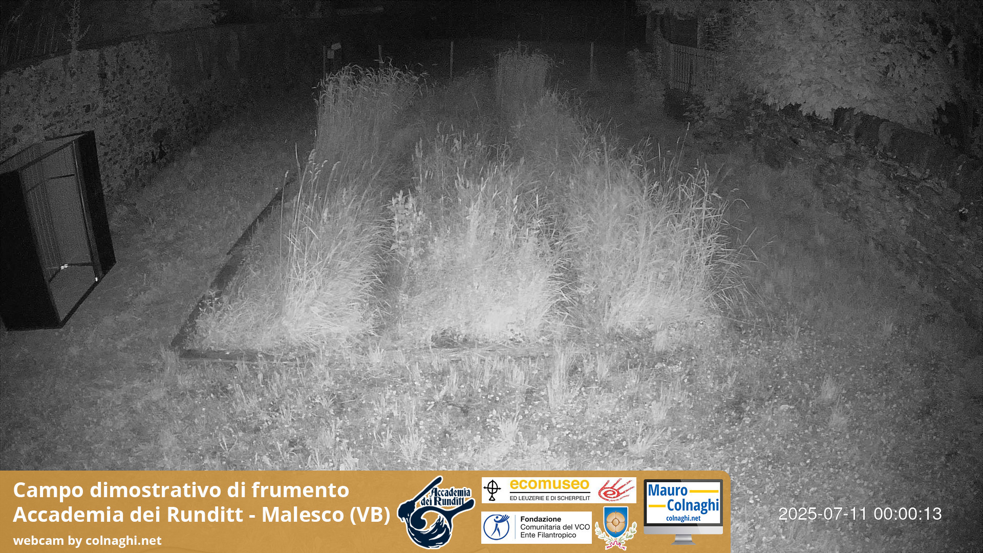 time-lapse frame, Grano webcam