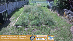 view from Grano on 2025-07-12