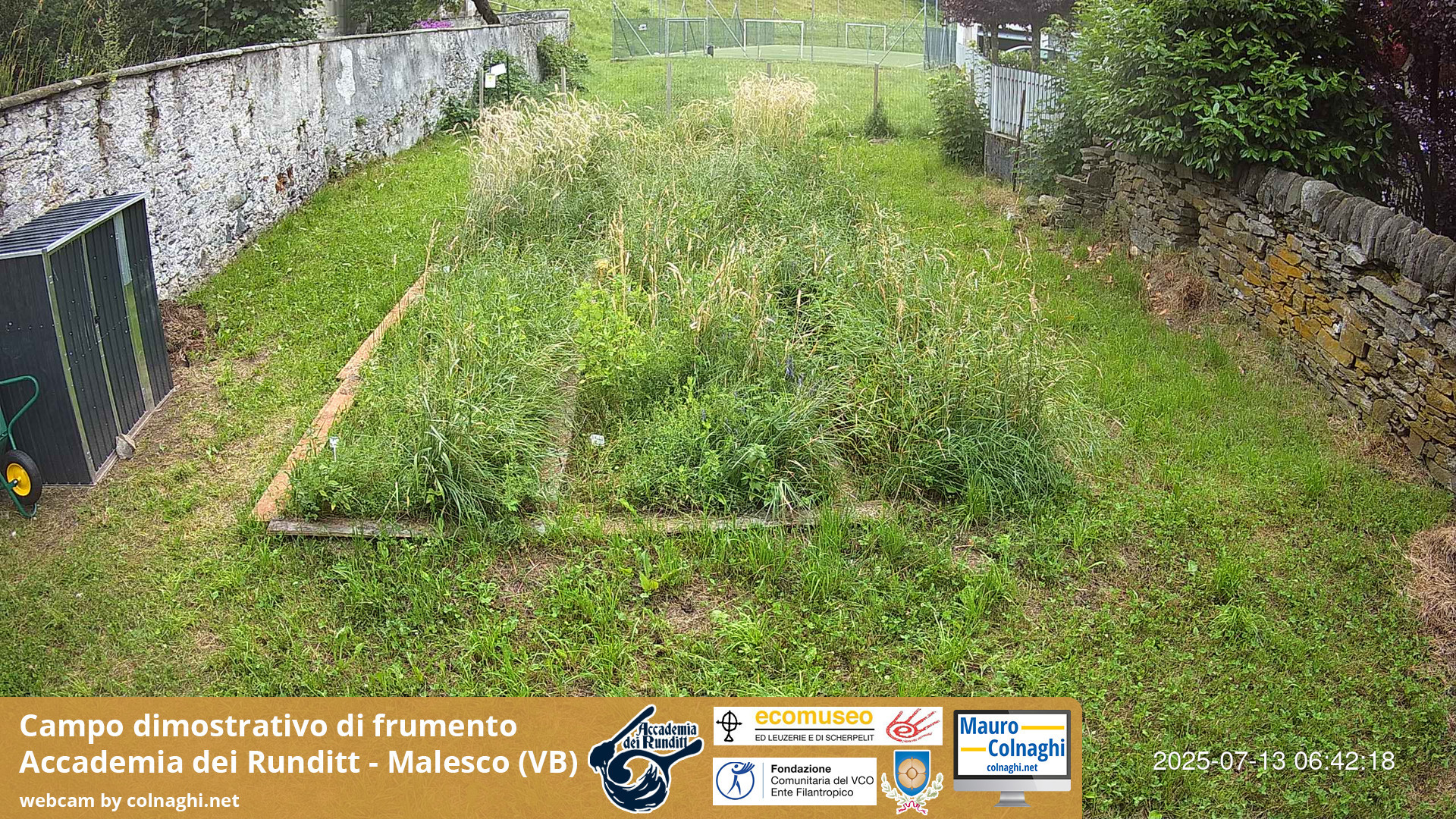 time-lapse frame, Grano webcam