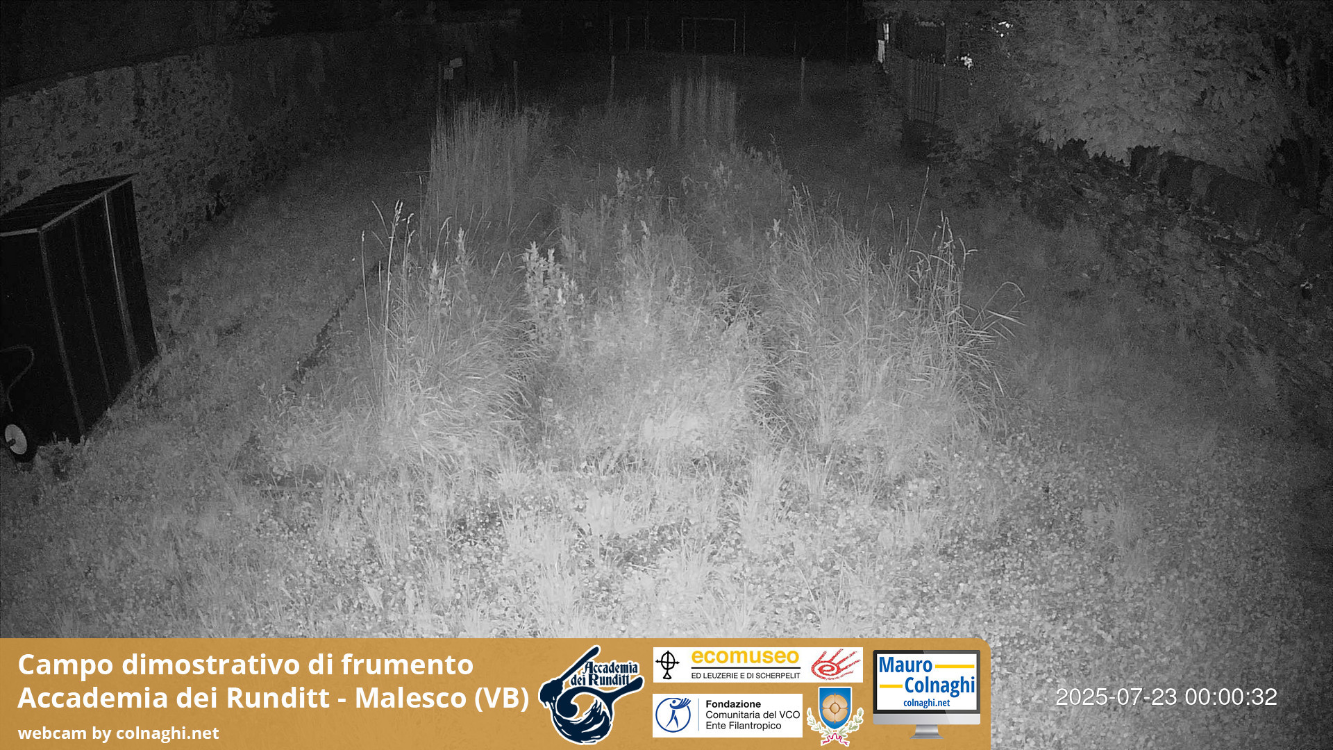 time-lapse frame, Grano webcam