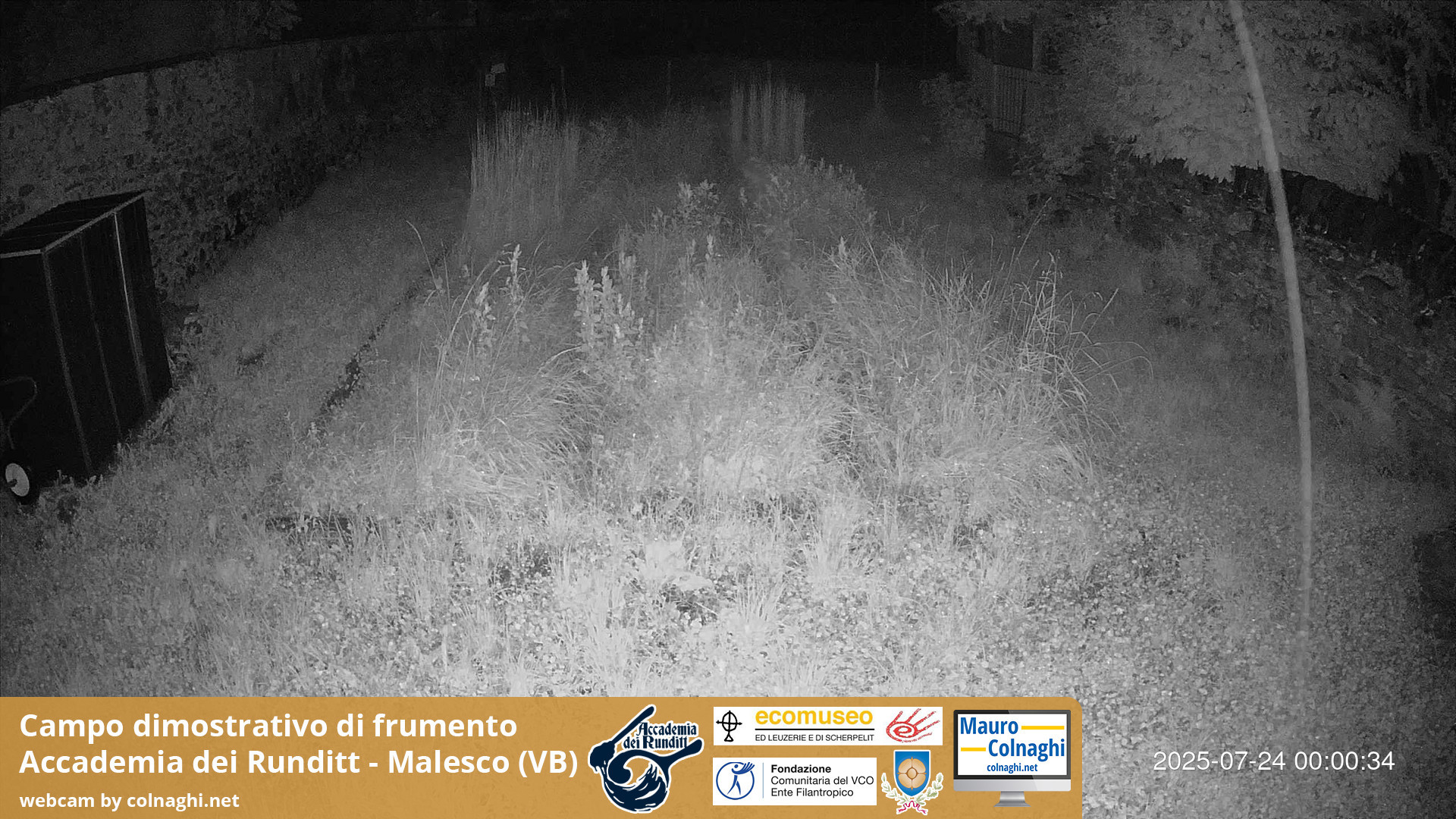 time-lapse frame, Grano webcam