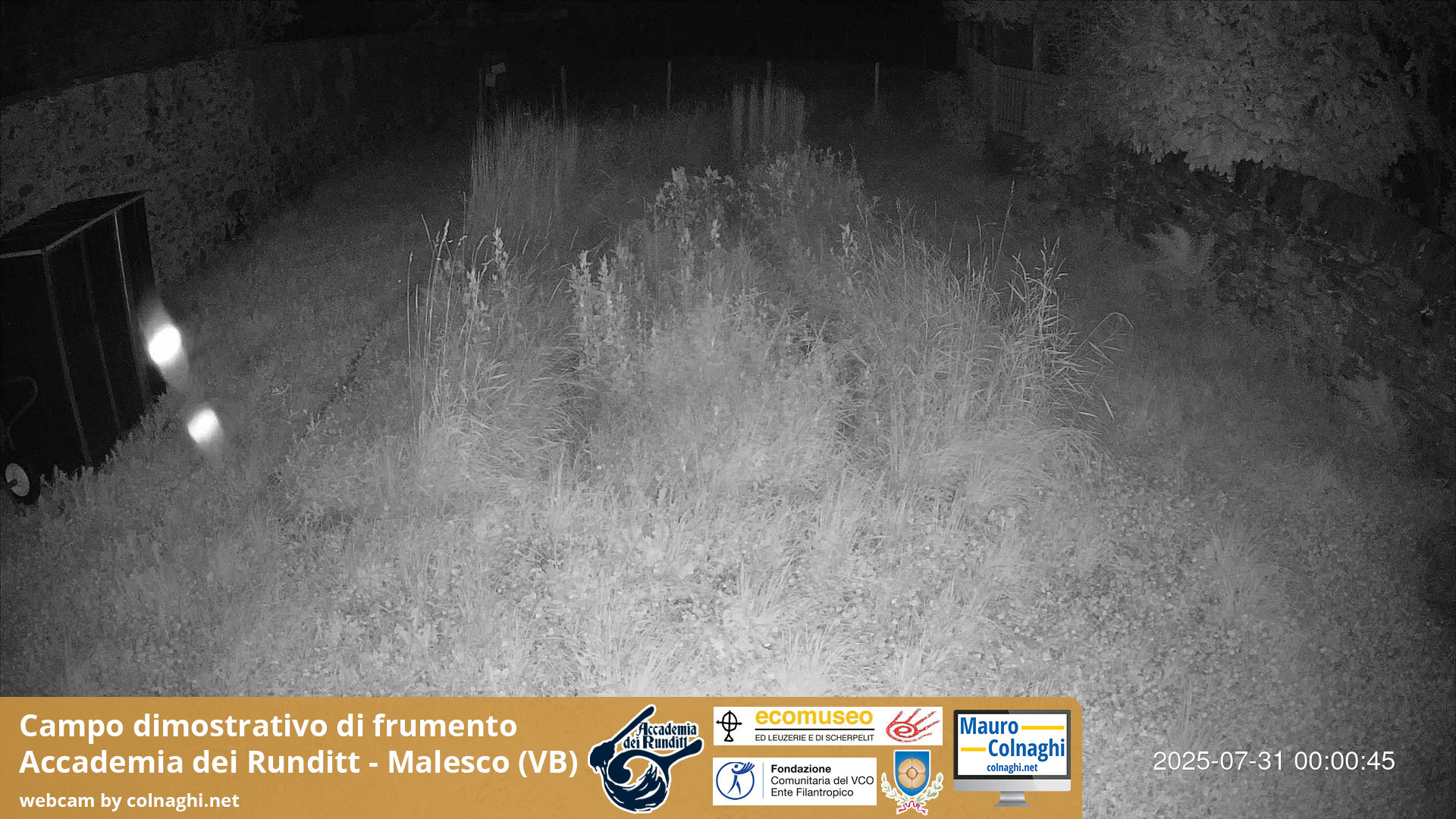 time-lapse frame, Grano webcam