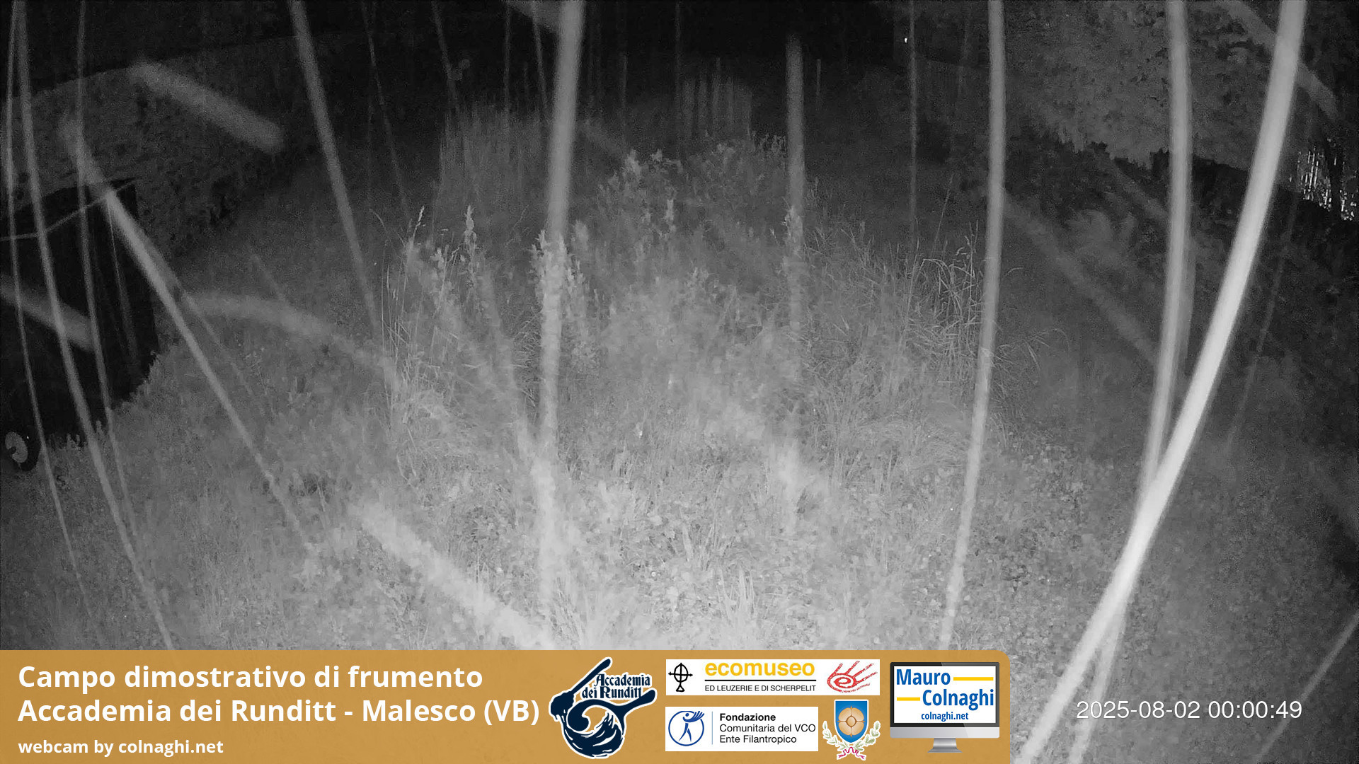 time-lapse frame, Grano webcam