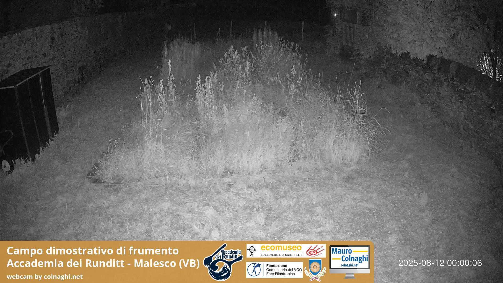 time-lapse frame, Grano webcam