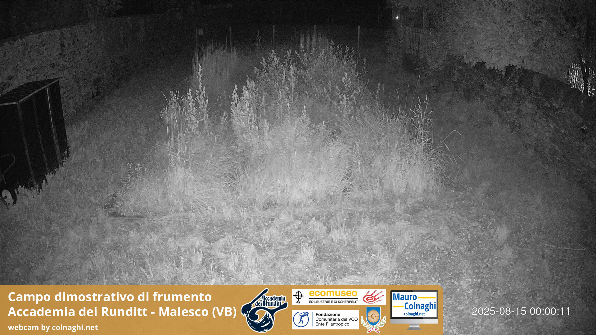 time-lapse frame, Grano webcam