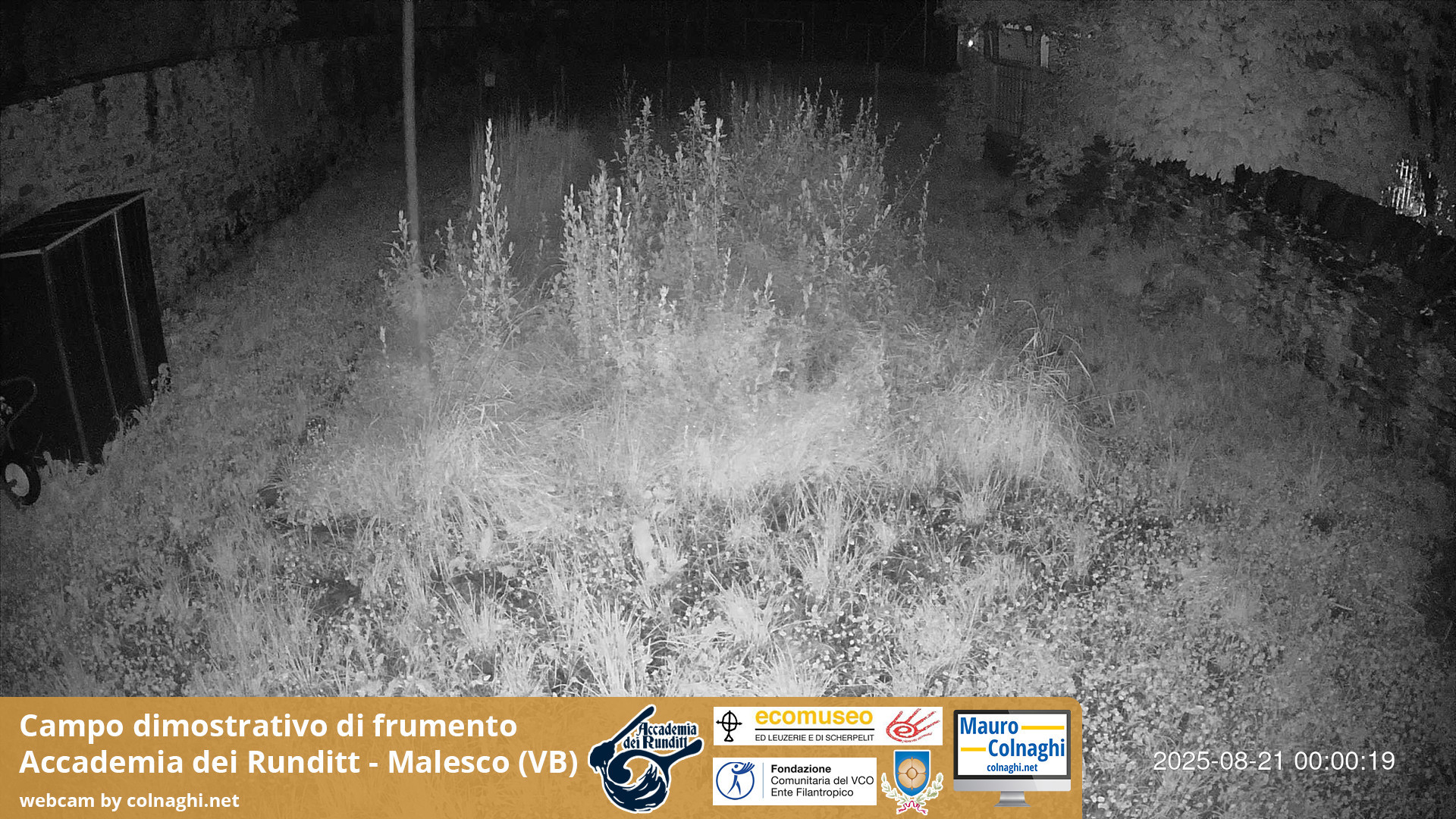 time-lapse frame, Grano webcam