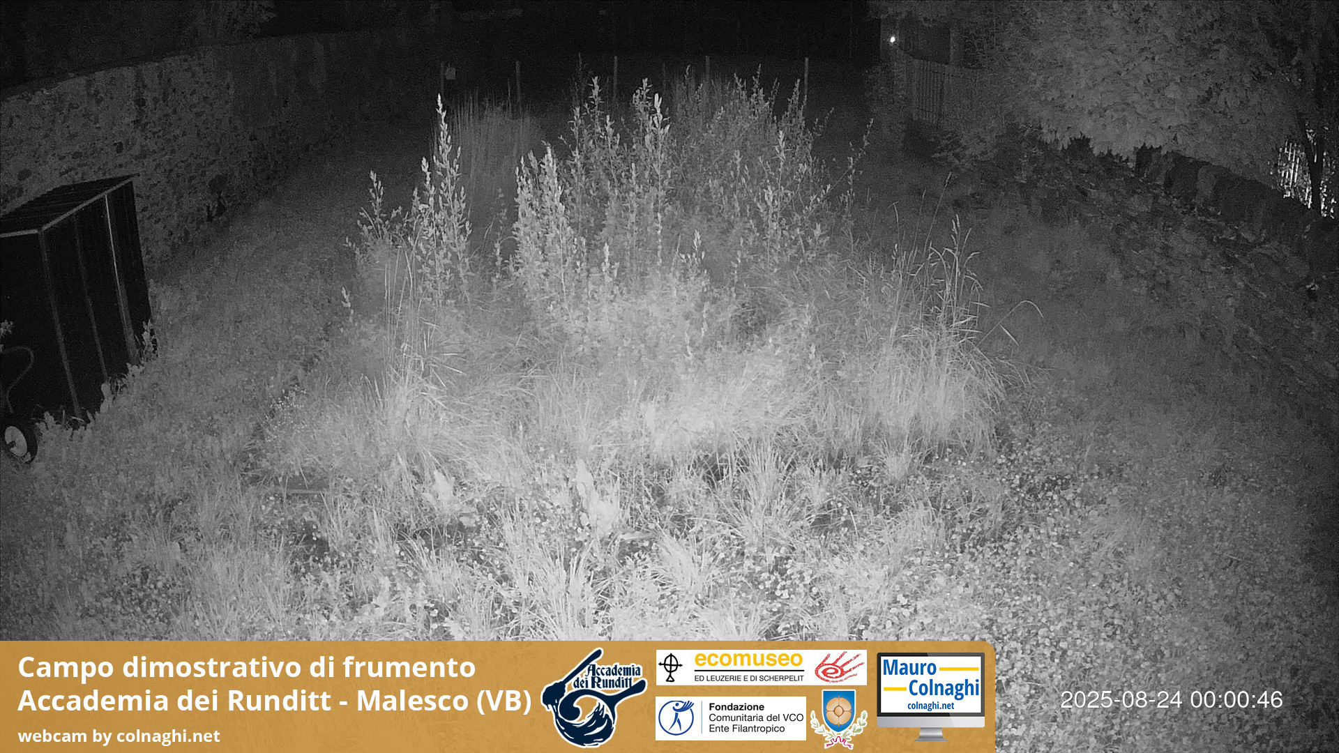 time-lapse frame, Grano webcam