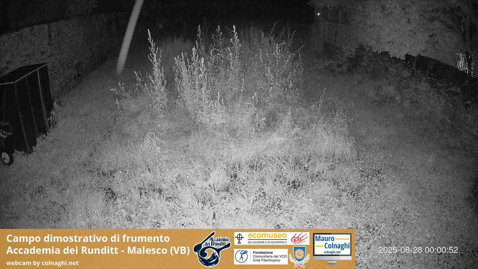 time-lapse frame, Grano webcam