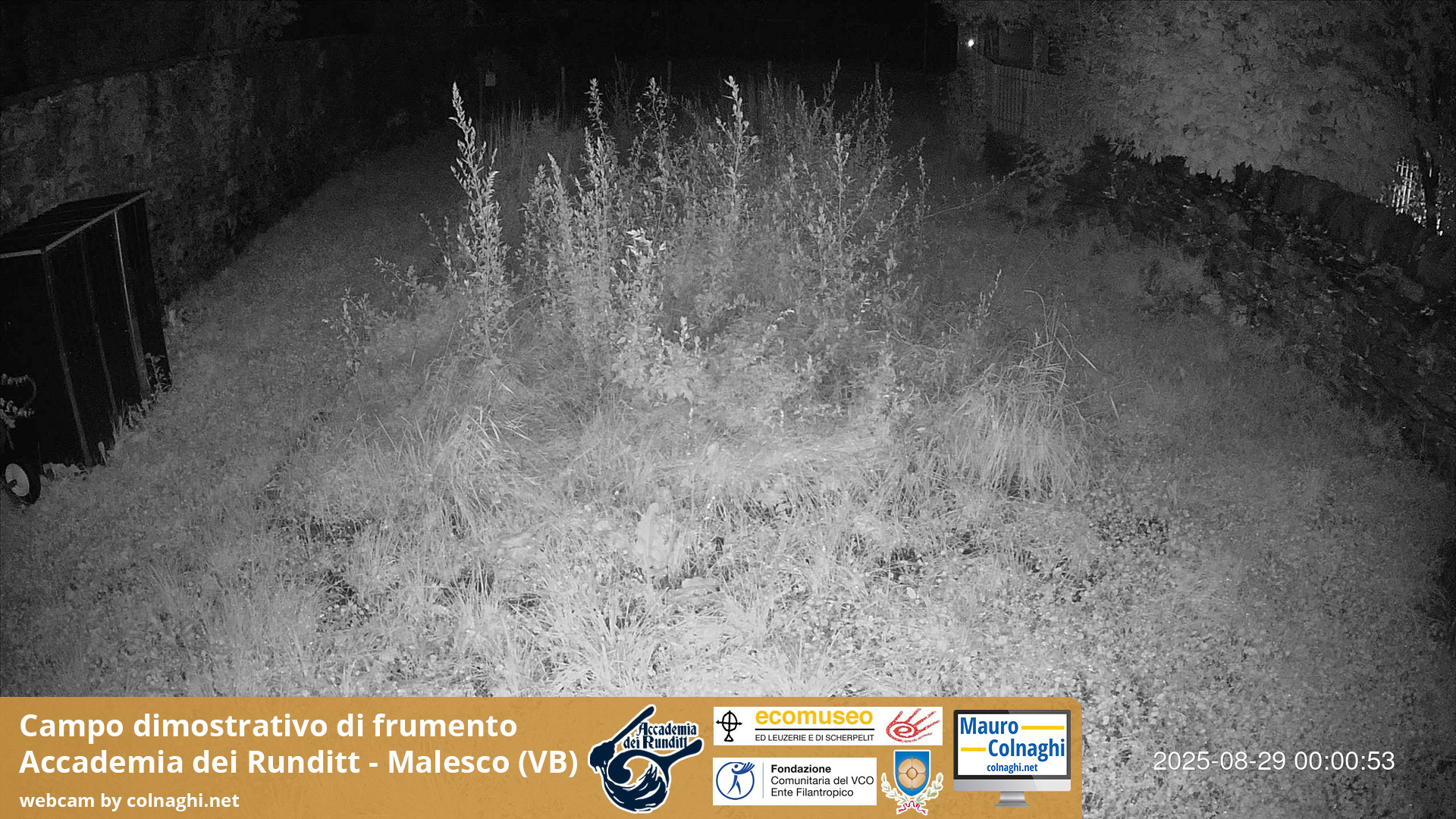 time-lapse frame, Grano webcam