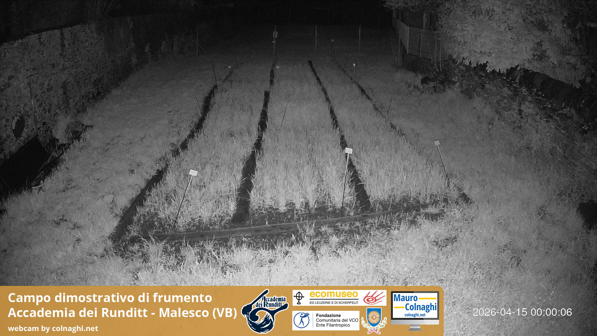 time-lapse frame, Grano webcam