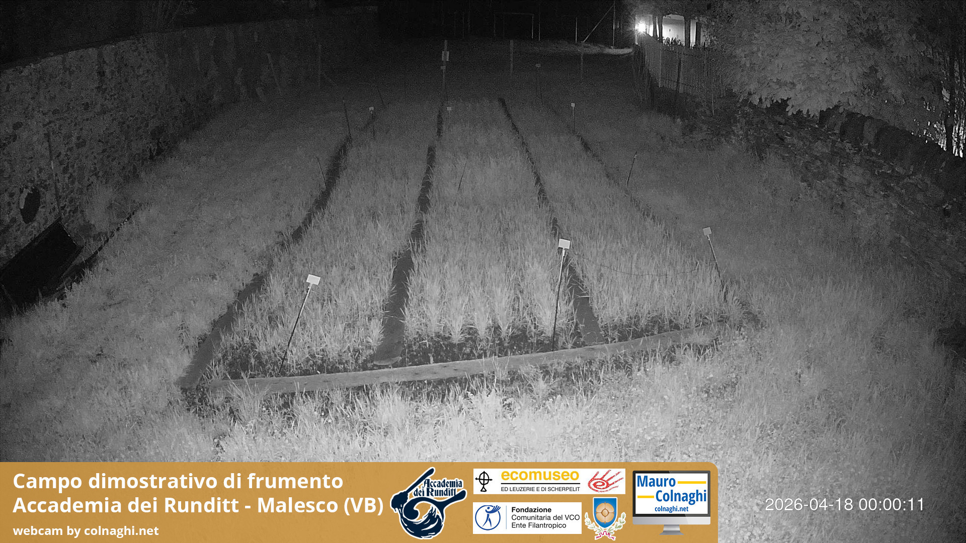 time-lapse frame, Grano webcam