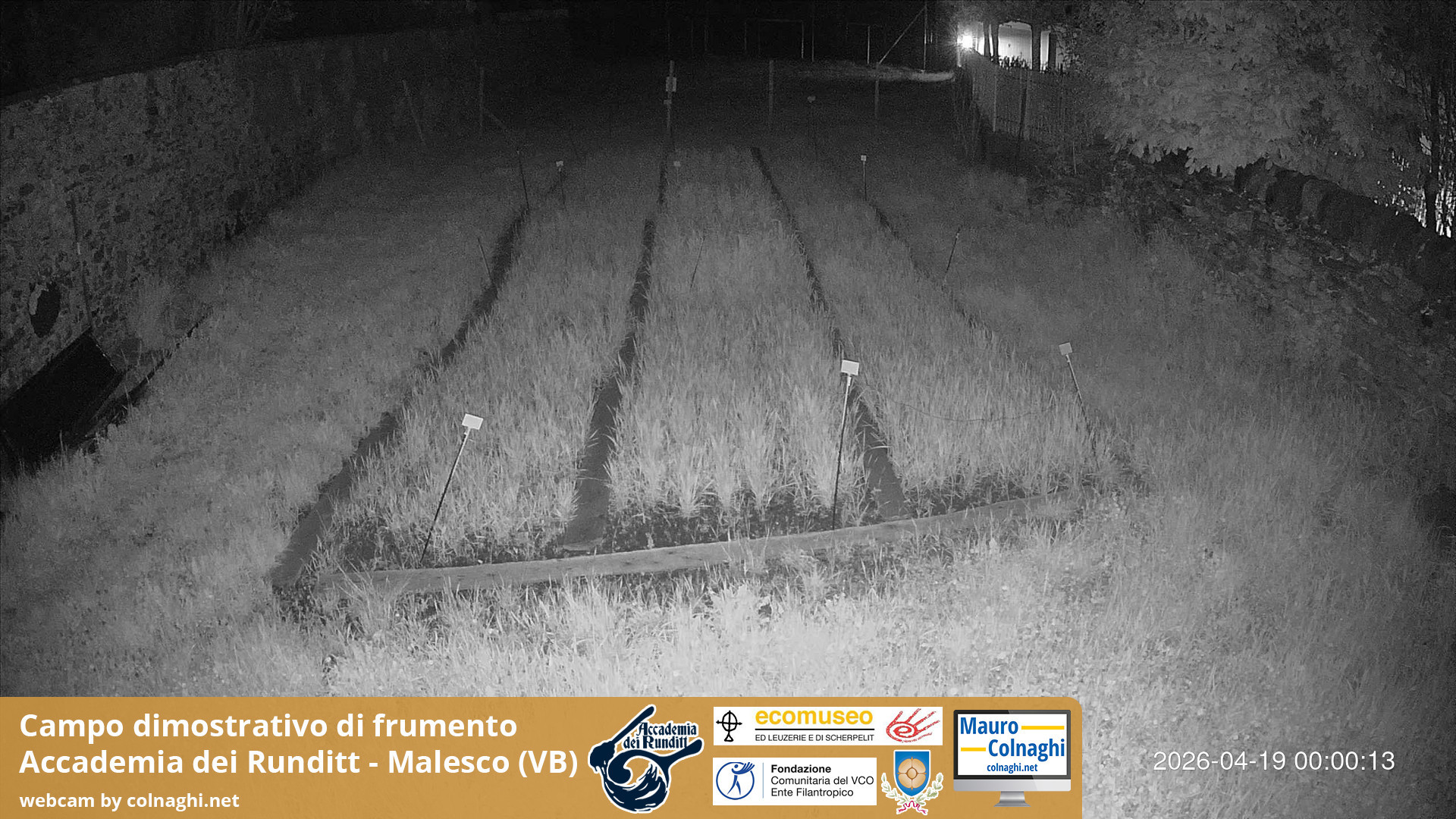 time-lapse frame, Grano webcam