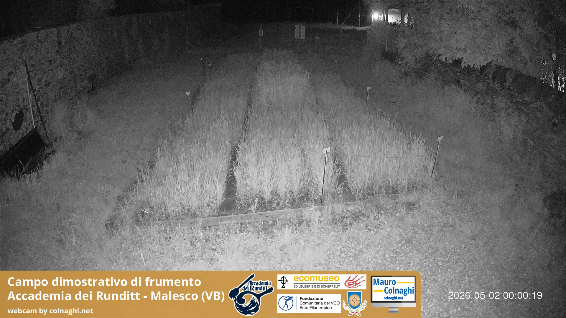 time-lapse frame, Grano webcam