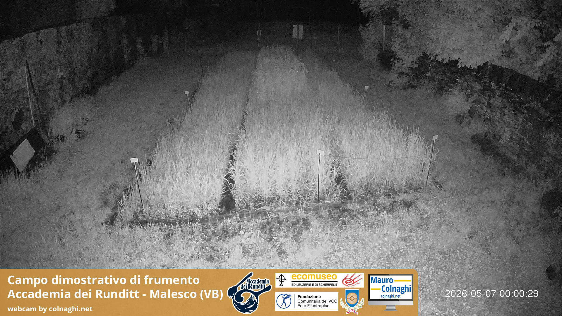 time-lapse frame, Grano webcam