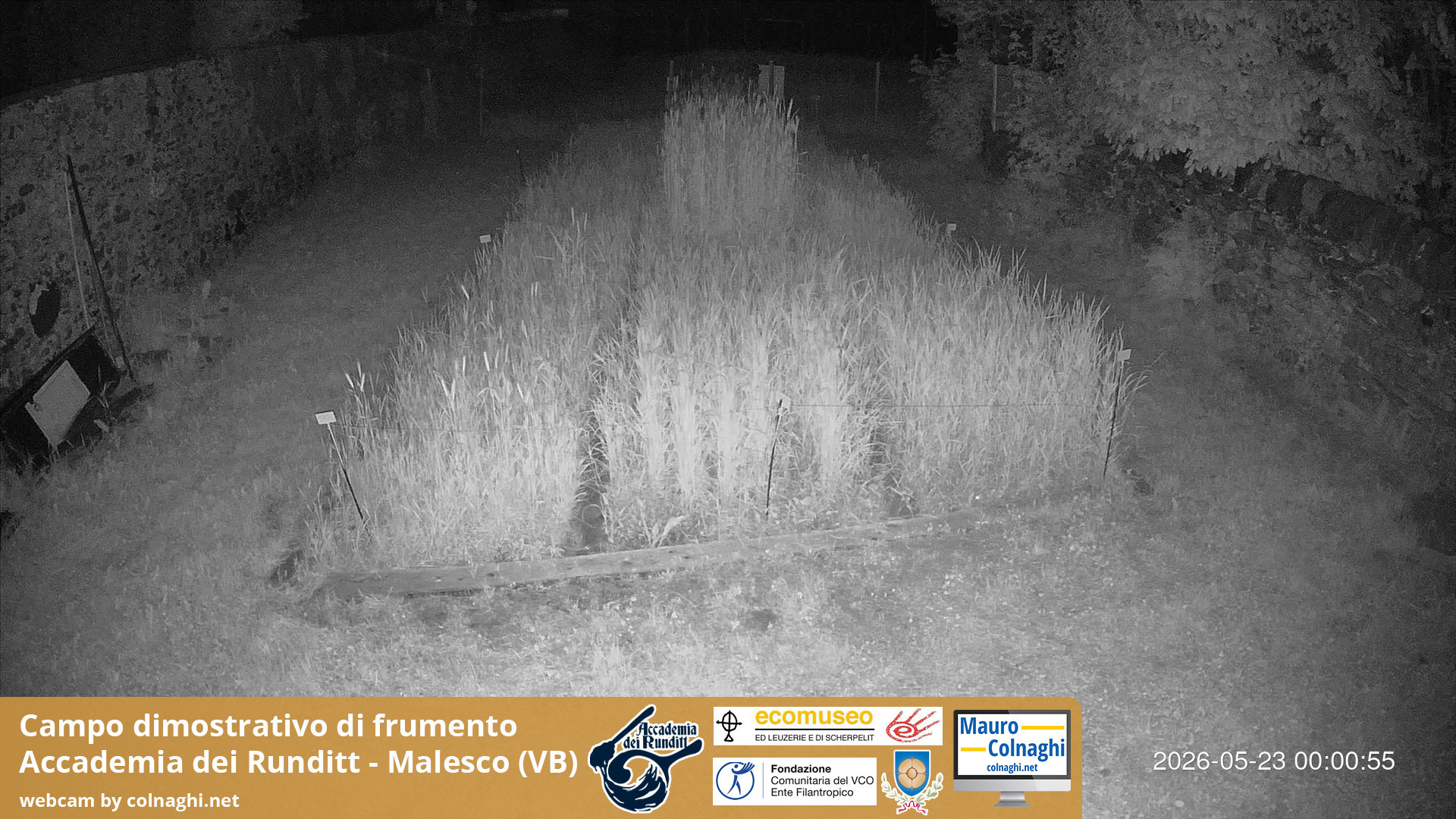 time-lapse frame, Grano webcam