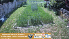 view from Grano on 2026-05-25