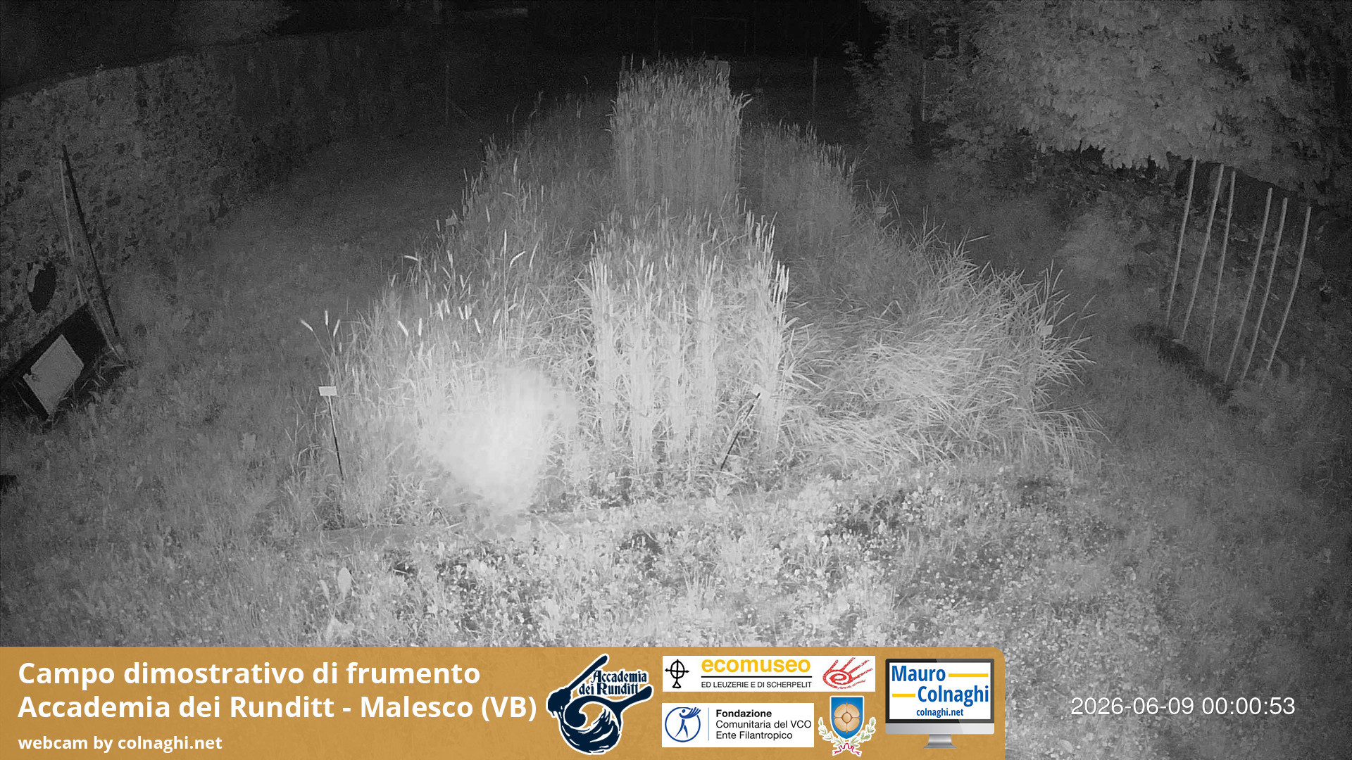 time-lapse frame, Grano webcam