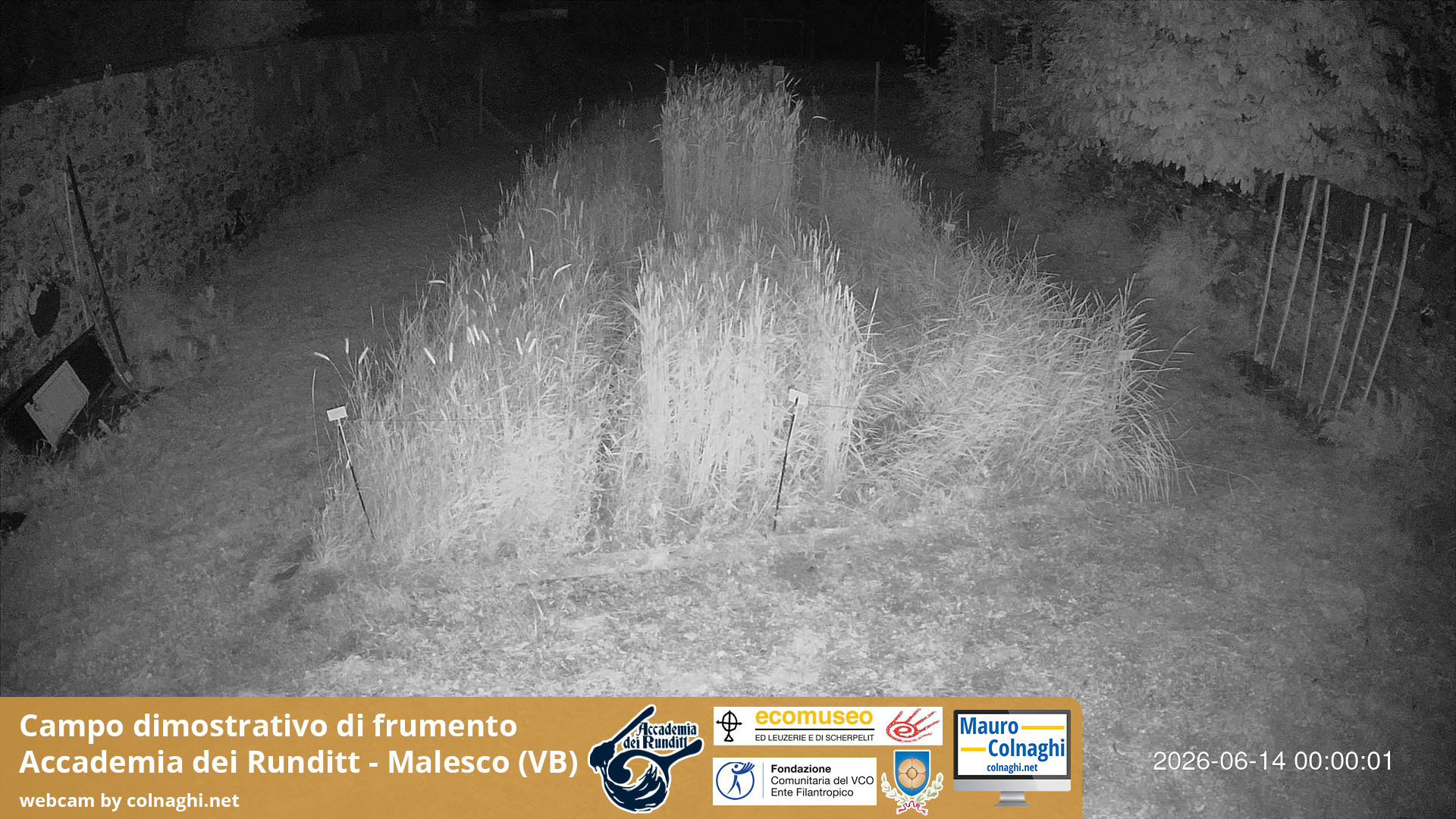 time-lapse frame, Grano webcam