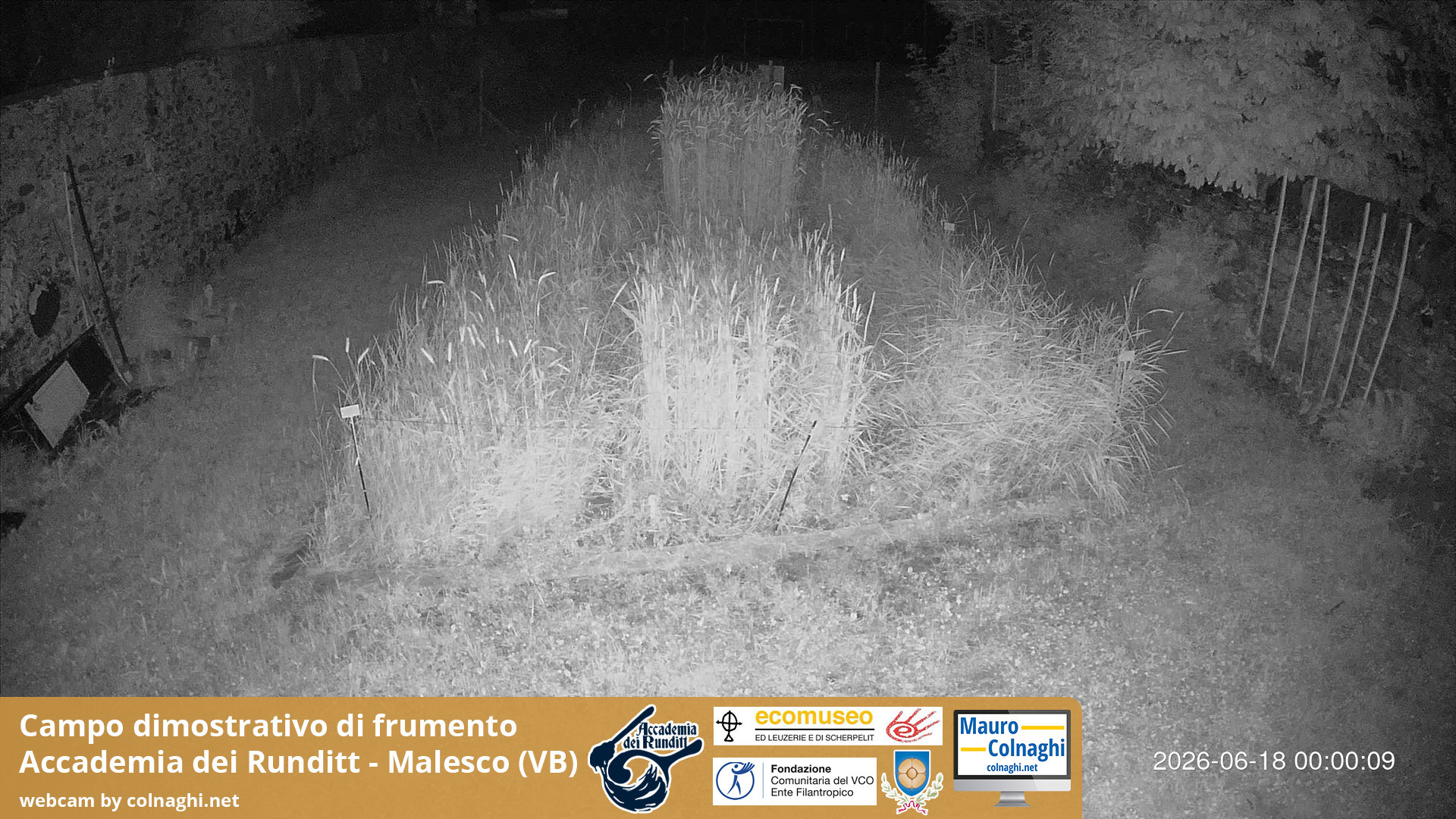 time-lapse frame, Grano webcam