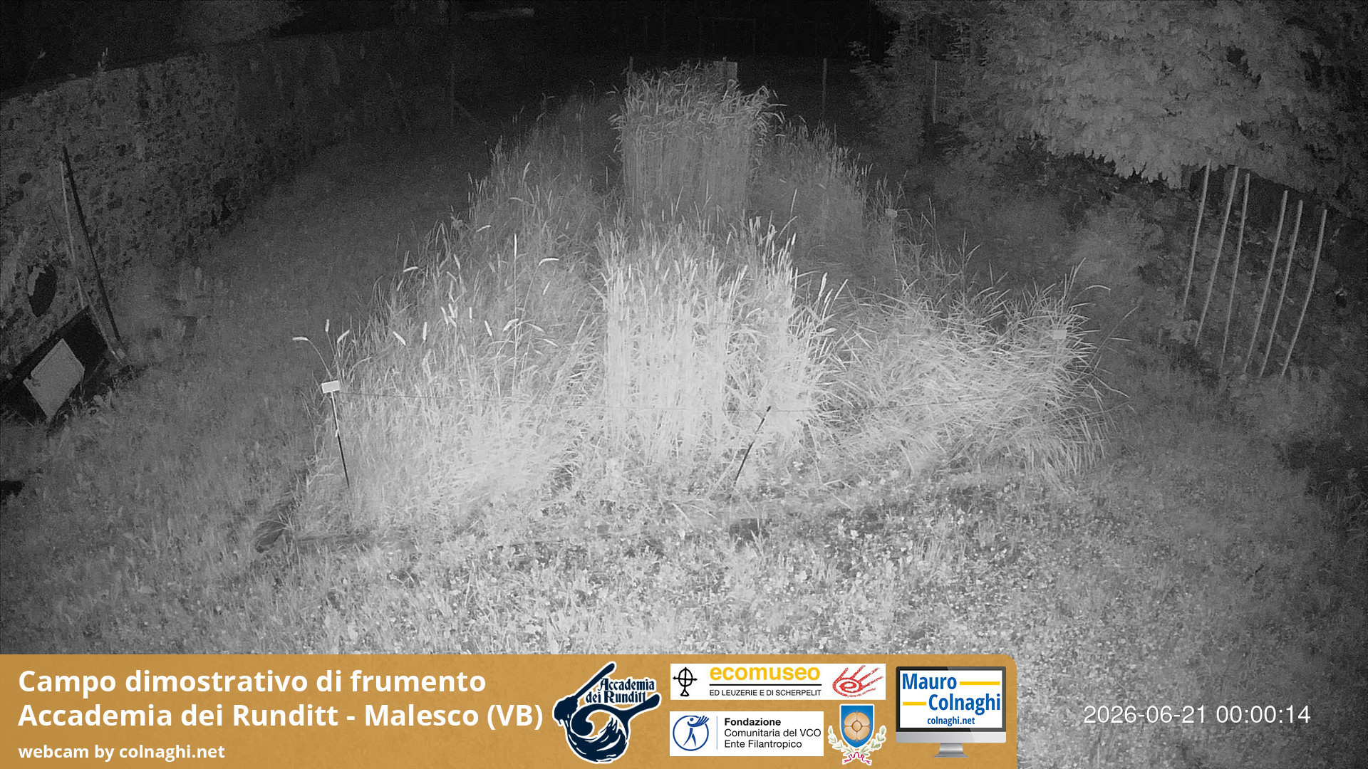 time-lapse frame, Grano webcam