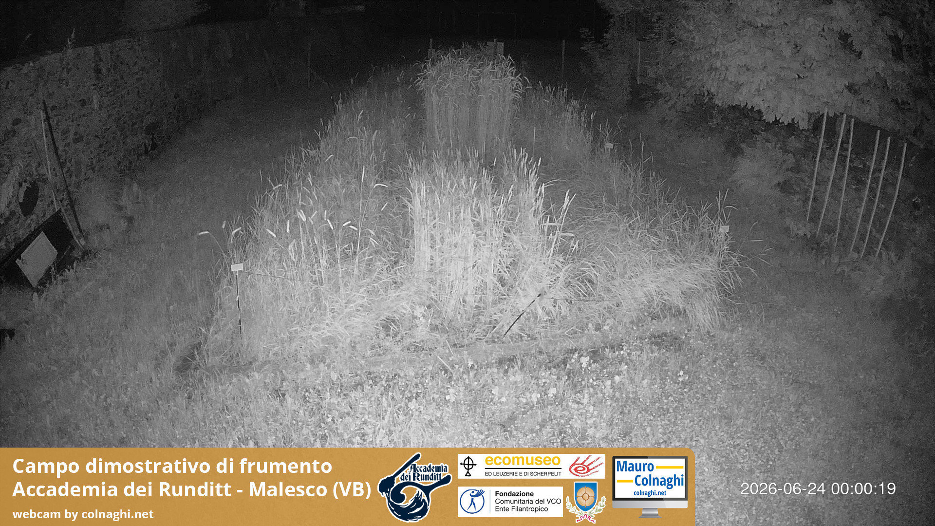 time-lapse frame, Grano webcam