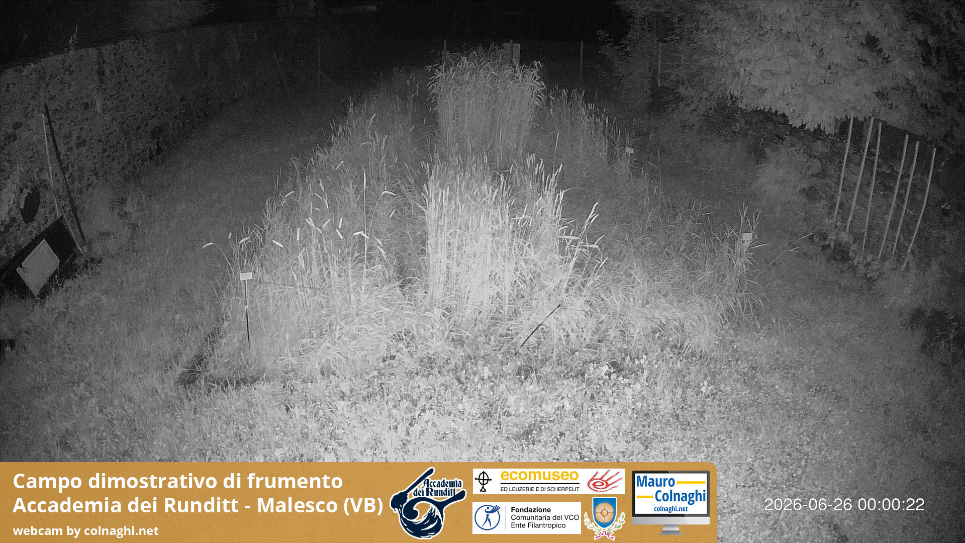 time-lapse frame, Grano webcam